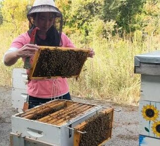 Watch the Beekeeper!