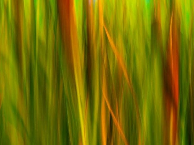 Art: Thin Veils and Fluid Borders