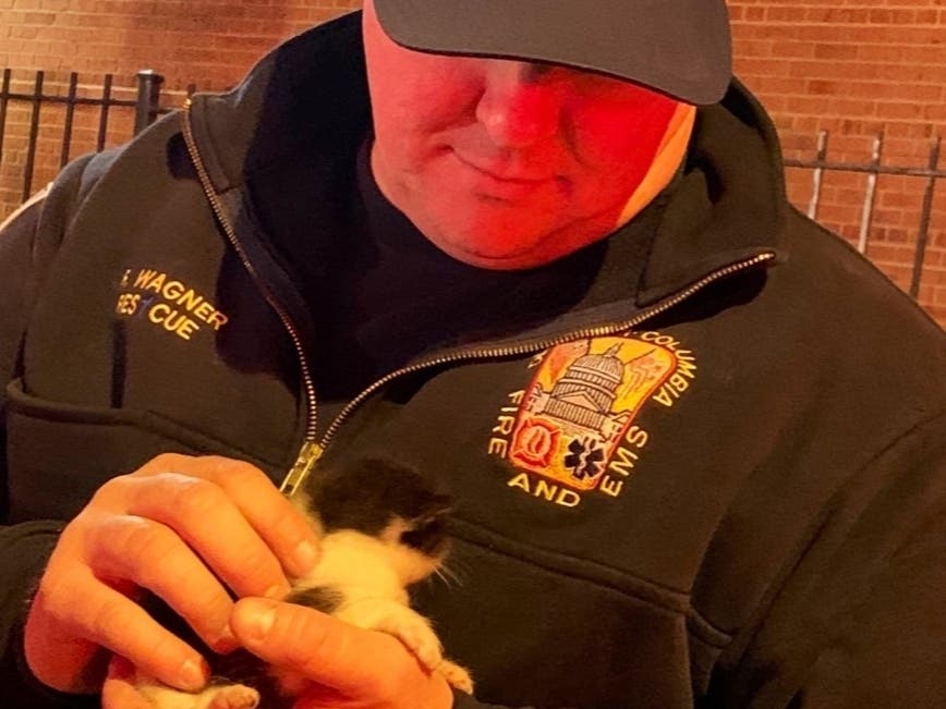 D.C. fire and rescue personnel rescued three kittens from a three-story apartment fire in Southeast on Monday.