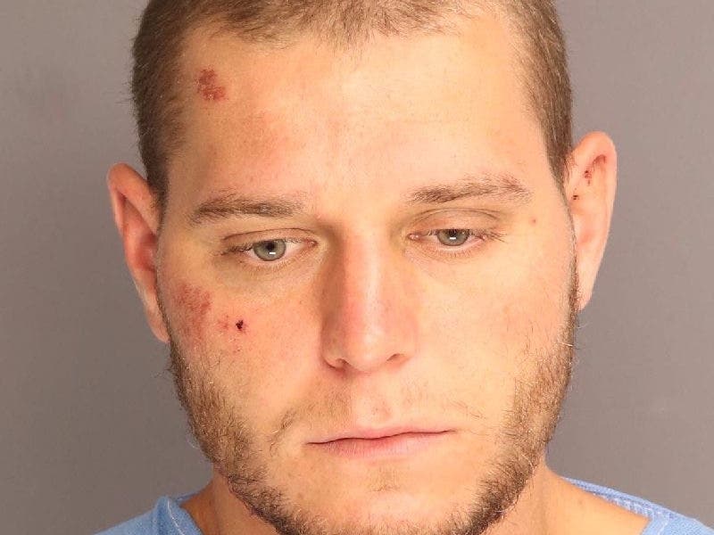 Matthew Dingley, 28, of New York is accused of attacking a flight attendant and banging on the cockpit door of a flight from Dulles to New York.