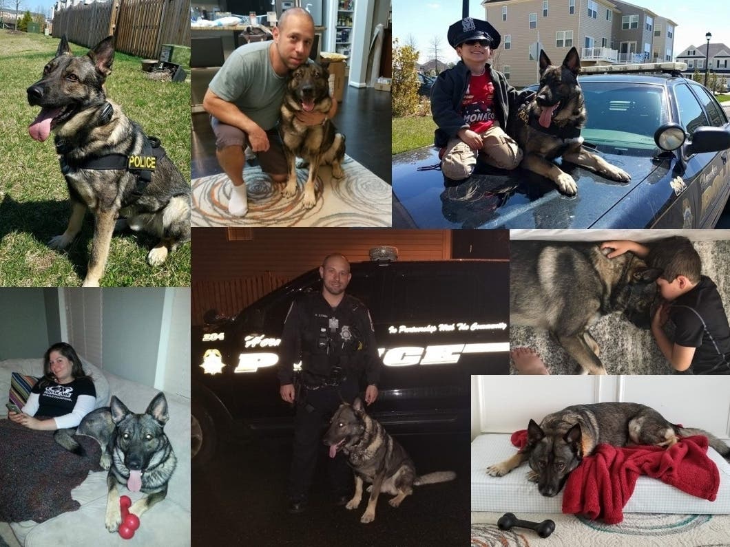 K9 Diesel is retiring from the Herndon Police Department after six years.