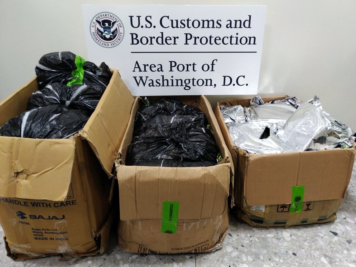 Customs and Border Protection officers seized more 147 pounds of Nigerian khat in a shipment arriving at Washington Dulles International Airport.