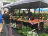 Produce sellers and other vendors greeted customers Thursday at the Herndon Farmers Market.