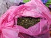 The khat was found in two shipments marked as clothing, which were headed to an address in Long Island, New York.