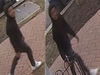 Metropolitan Police Department is asking the public's help in identifying a group of individuals in connection with an armed carjacking. 