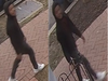 Metropolitan Police Department detectives are asking the public's help in identifying four suspects in connection with two carjackings.