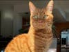 Schodinger is quite cuddly and loves to play. 
