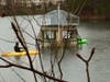 Volunteer wildlife rescuers Billy Rios and Peshwaz Faizulla paddle out to the outlet structure on Kingstowne Lake in an attempt to rescue a Great Blue Heron entangled in fishing line.
