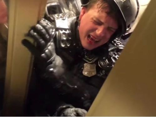 Police are asking the public's help in identifying a man they say is responsible for trapping MPD Officer Daniel Hodges, shown here, in a door jam at the U.S. Capitol. (MPD)