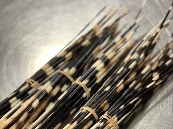 U.S. Customs and Border Protection discovered 100 porcupine quills in passenger baggage on April 21, 2021 at Washington Dulles International Airport. African porcupine quills are prohibited as potential vector for diseases, such as monkeypox virus.