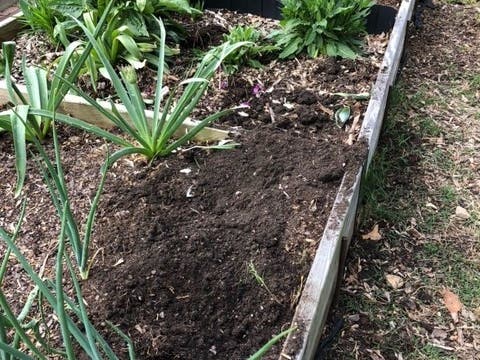 Over the last two years, thieves have stolen thousands of dollars in plants and other materials from community garden plots in Hunters Woods Park.
