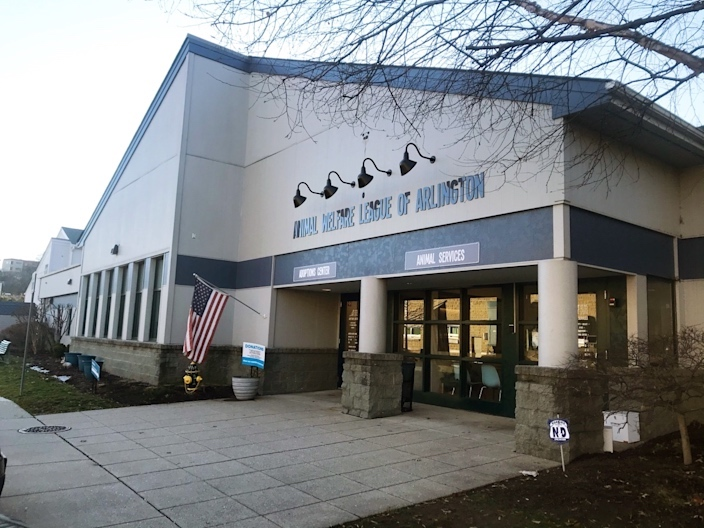 Animal Welfare League lifted most of the COVID-19 restrictions at the county's shelter, which was closed to the public last spring. 