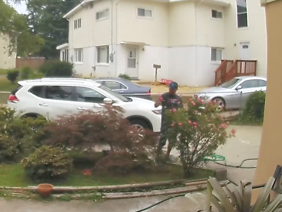 A Ring camera recorded a man walking up the driveway of Tommy Dang's home in Fairfax City Thursday and taking roses without permission.