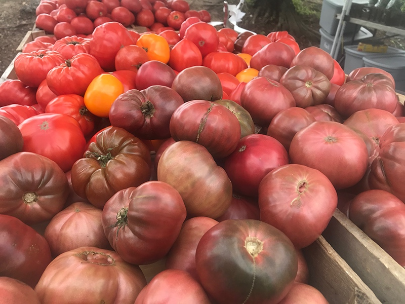 Tyson Farm and Orchard was selling boxes of tomatoes earlier this year at the farmers market in the City of Fairfax. (Michael O'Connell/Patch)