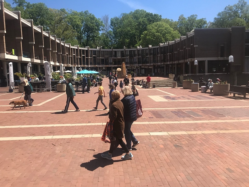 A group of Lake Anne residents ask Fairfax County to step in to help minority property owners before the Oct. 27 board election.