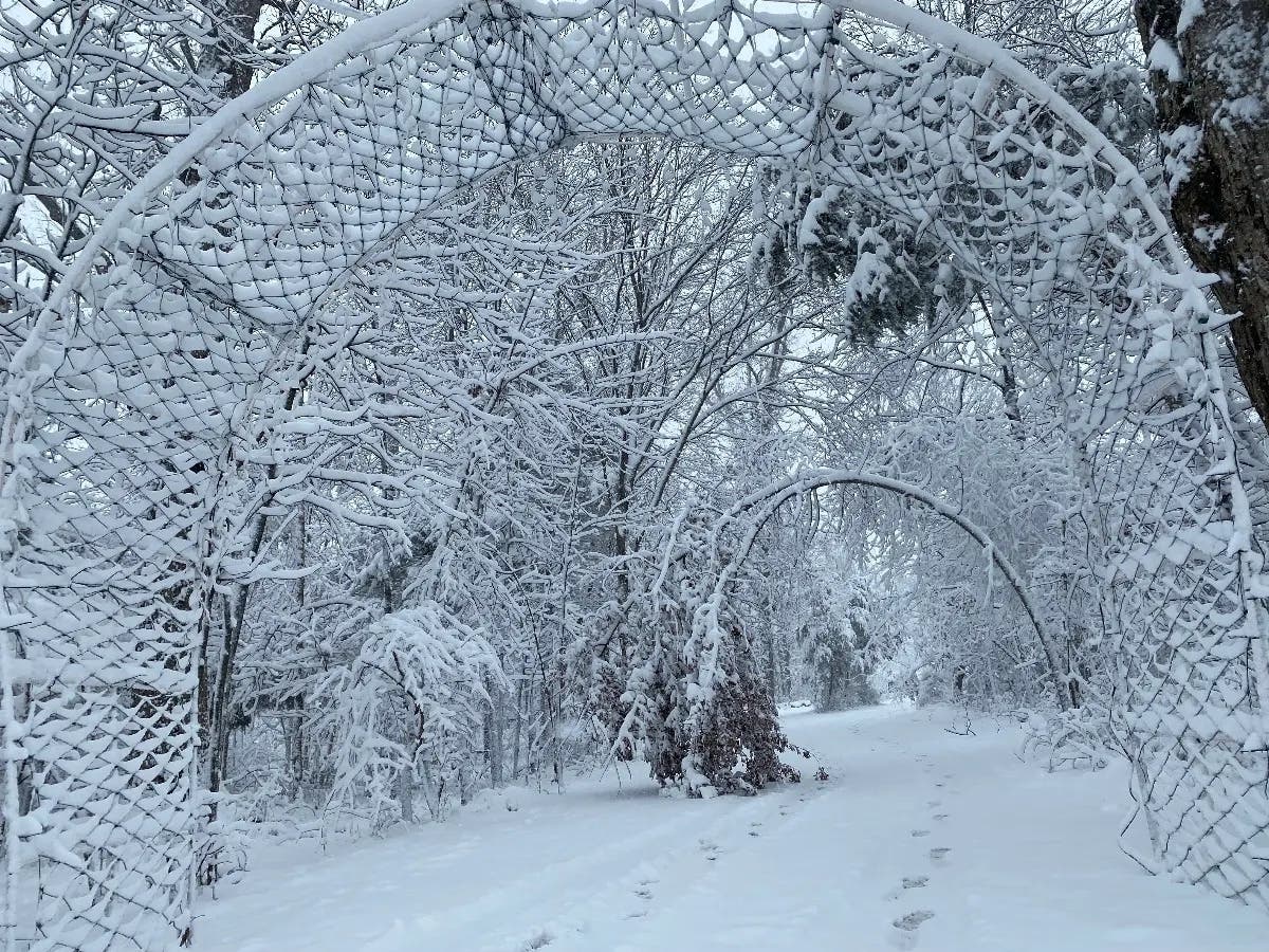 Peter DSouza of Herndon shared wintry photos from Frying Pan Park.