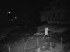 Fire investigators released surveillance photos Tuesday of suspects wanted in an Aug. 16 arson incident at a Fairfax construction site.
