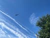 Fairfax County Police Department's helicopter began circling the Fairfax Boulevard, Draper Drive and Draper Drive Park area after 9 a.m. on Tuesday