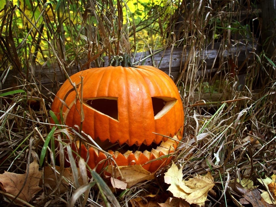 Fairfax City knows how to party until the vampires go home. Here are some activities for Halloween celebrants citywide.