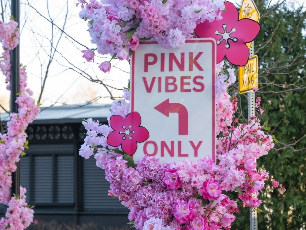 The National Landing Business Improvement District, in partnership with Amazon and the National Cherry Blossom Festival, is bringing the 2026 cherry blossom season across the Potomac with its "Pink in the Park" event series.