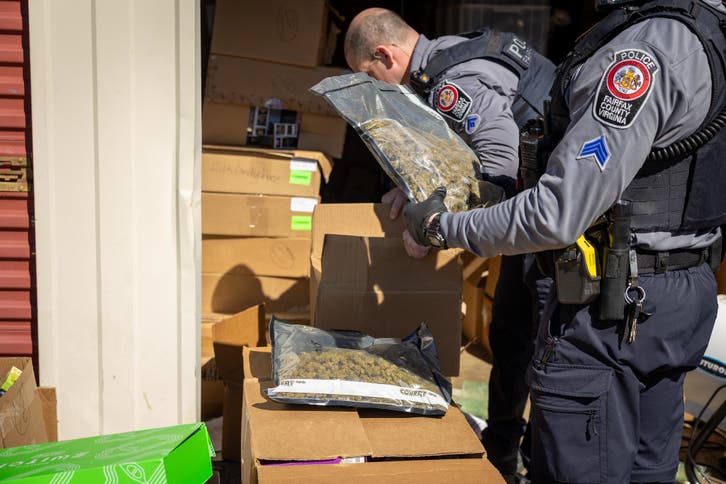 Synthetic Urine, Marijuana, $500K Seized In 13-Store Raid By Fairfax ...