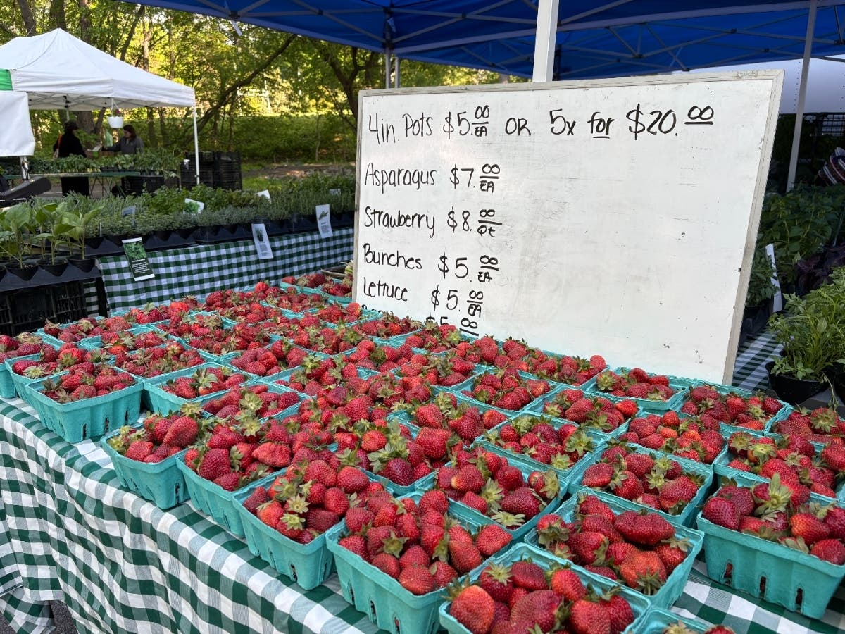 McLean Farmers Market Opens 2026 Season At Lewinsville Park