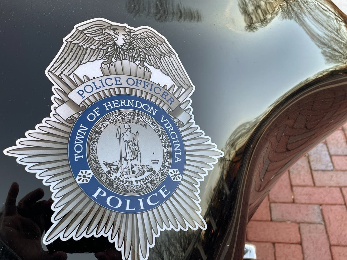 A driver is in custody after allegedly crashing a stolen vehicle into multiple parked cars on Center Street in Herndon, police said.