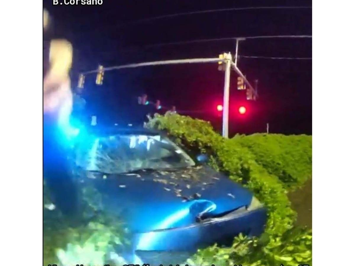 A Spotsylvania man was held without bond after police said he fled a stop and crashed in Spotsylvania County.