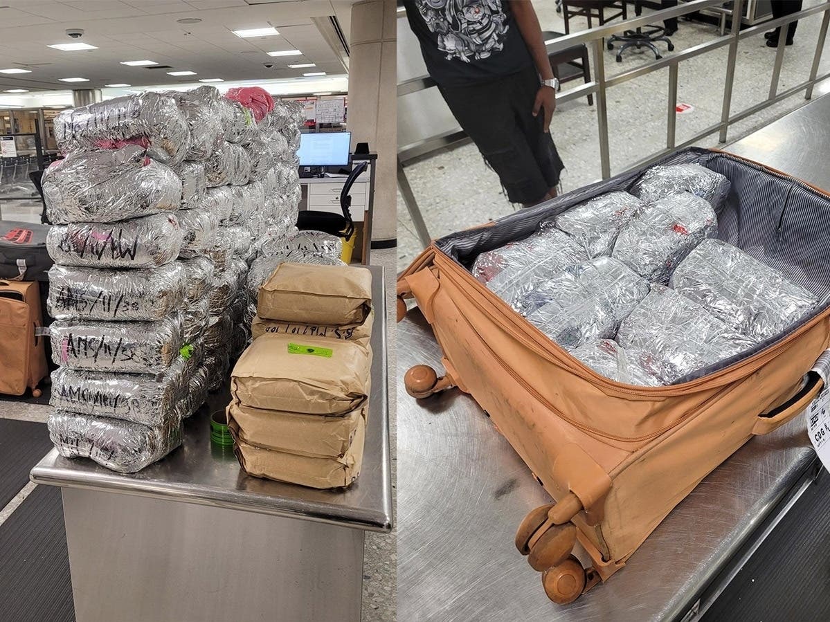 U.S. Customs and Border Protection officers seized about 368 pounds of khat in a New York man's checked baggage at Washington Dulles International Airport on Friday.