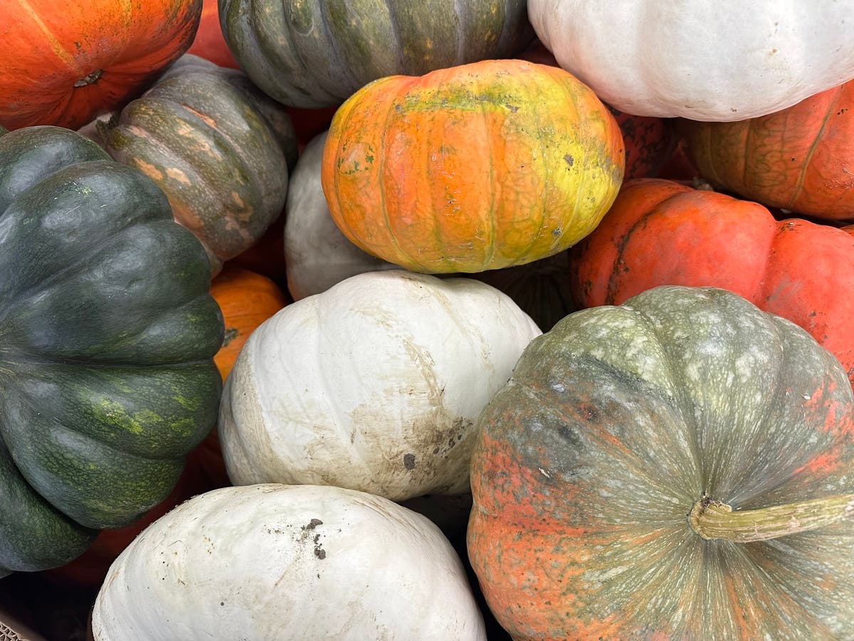 50th Annual Fall Festival