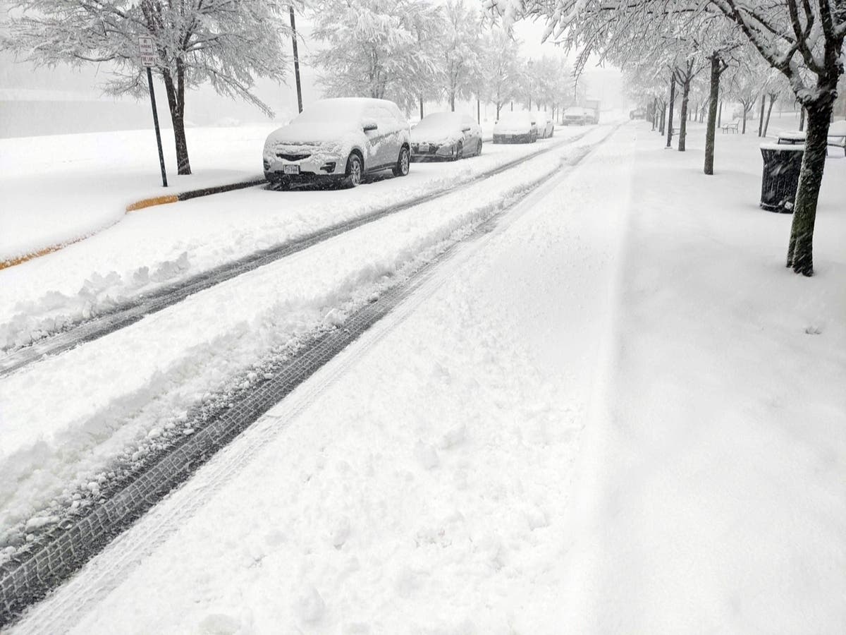 How Snowy, Cold Will Winter Be In VA? New Predictions Released