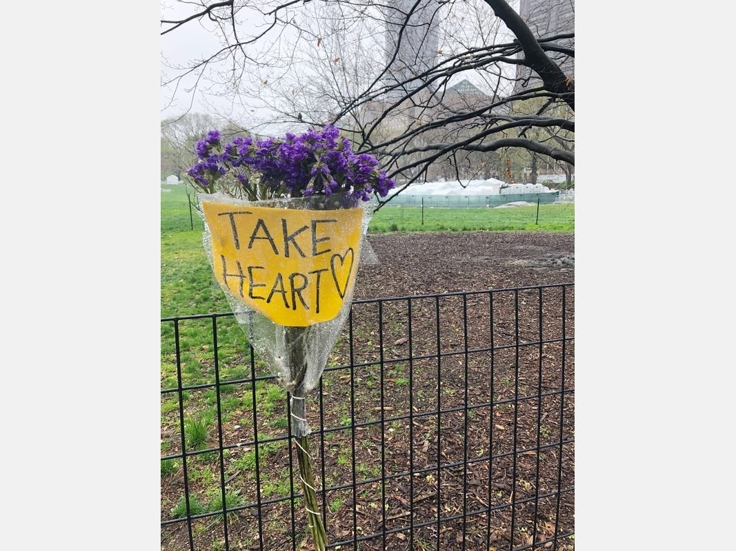 Flowers in Central Park, Manhattan, amid the spread of coronavirus.
