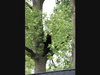 A black bear was spotted in Short Hills, in Millburn.