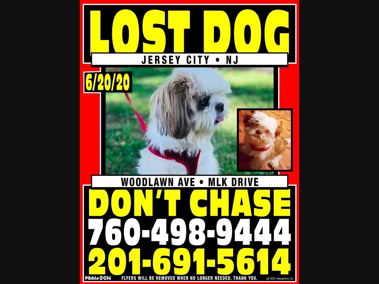 Jessyca Palafox and her son Alejandro, 10, are desperate to find their beloved dog, Bailey, who ran out of their Jersey City home Friday upon hearing fireworks. A reward is offered.
