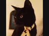 Can you help find Salem in Hoboken, NJ?