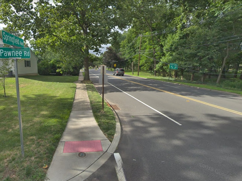 A black bear was spotted in wooded residential neighborhoods of Cranford near a park around 9:50 p.m., then in Westfield near Washington School later.