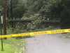 Downed trees in Short Hills in August after Tropical Storm Isaias.