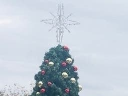 The stars of the Shining Stars Network in Cranford will present a holiday show Friday and Saturday.