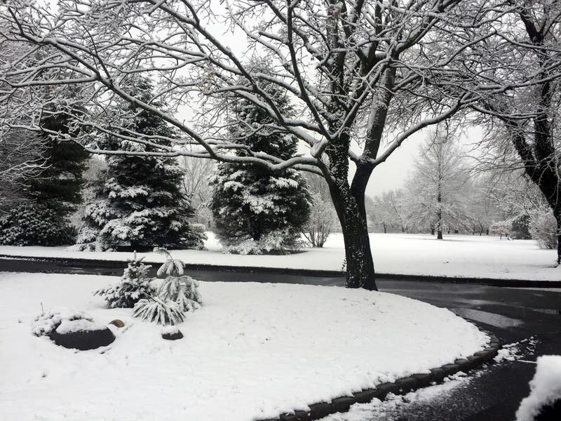 New Jersey got more than a foot of snow. If you have a Westfield snow photo, send to the address at the end of the story!