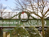 Doreen Schindler took these photos of Cranford during a snowy nor'easter in December.