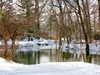 Doreen Schindler took these photos of Cranford during a snowy nor'easter in December.