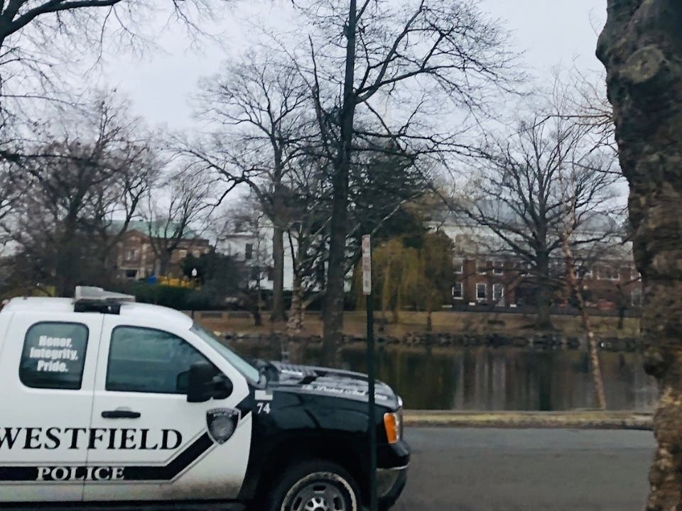 The Westfield police released recent details of reports.