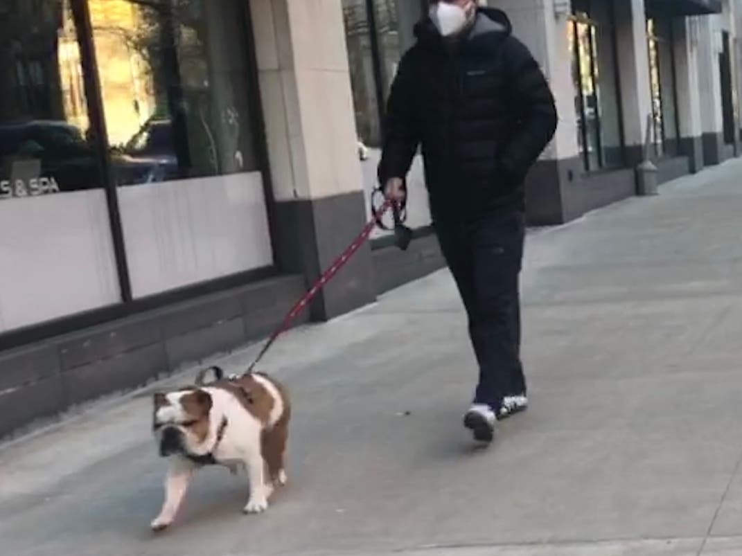 Do puppies invade your house at dinnertime? Perhaps not.