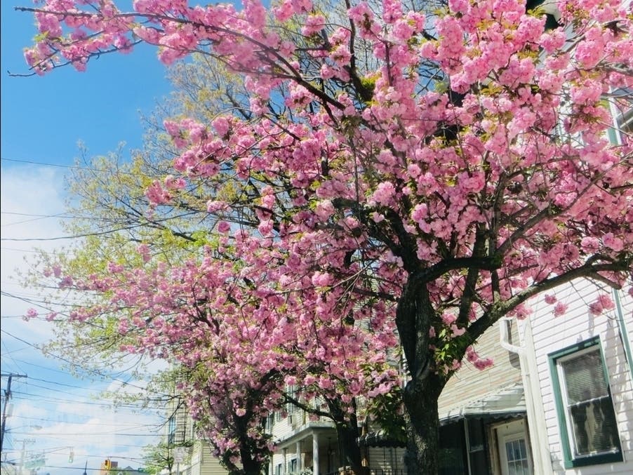 Spring is here, and that means more time to stroll your local downtown.