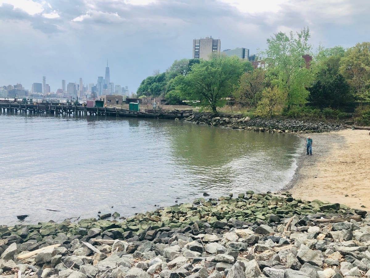 Paddleboat Date Disaster: Woman Rescued From River In Hoboken - Vimarsana News