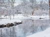 Last winter was snowy. What's in store for this year? Pictured: Mindowaskin Park, Westfield, NJ, February 2021.