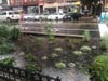 A garden planted by the city retains water on Hoboken's Washington Street on Sunday, amid Tropical Storm Henri.
