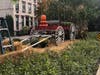 For the first time, the Hoboken Business Alliance is placing large autumn decorations in Hoboken. Bring on Halloween!