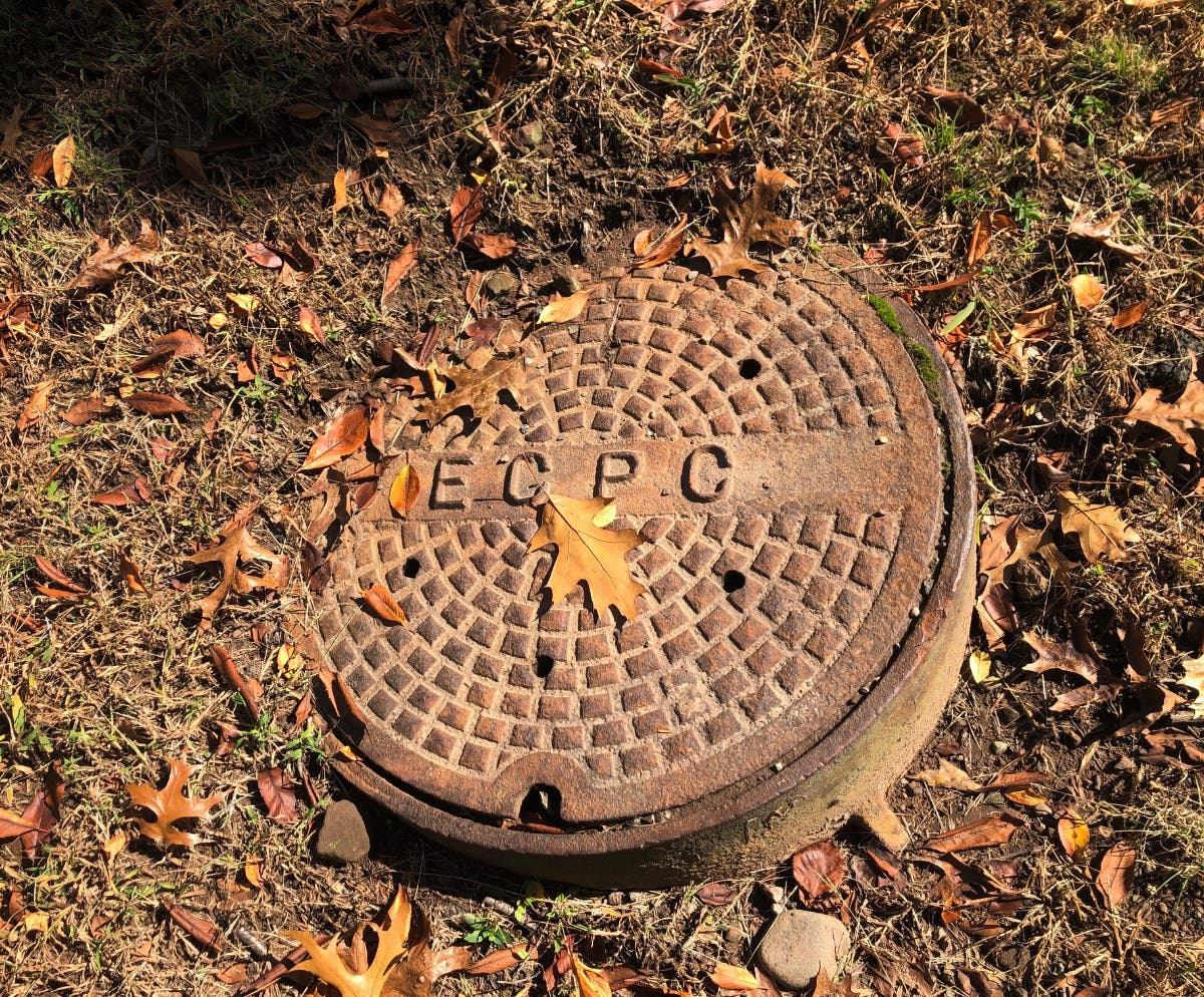 Leaves are beautiful...until they destroy cars. 