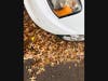 Parking on dry leaves has actually destroyed cars, as the catalytic converter has heated up piles under the cars and started fires. Livingston used to lose 3 to 4 cars this way, said the fire chief this week. He said awareness helps.